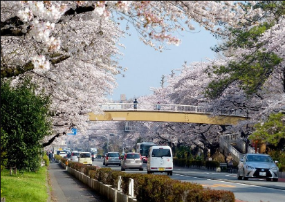 日本研究生留学条件